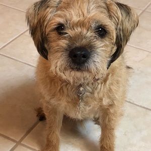 Meet your Posher, Bobby